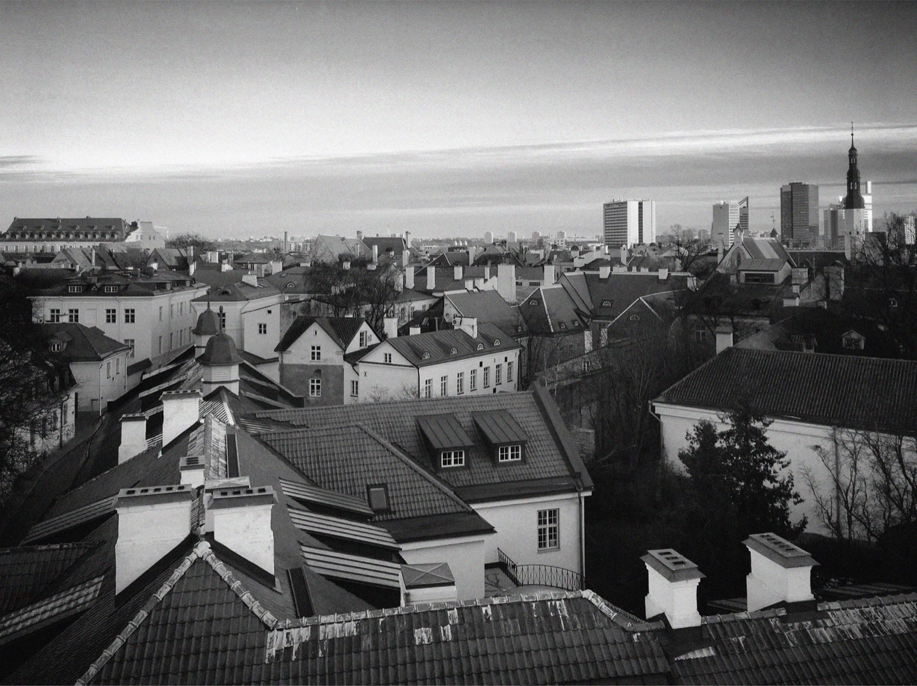 Rooftops of a city at first light